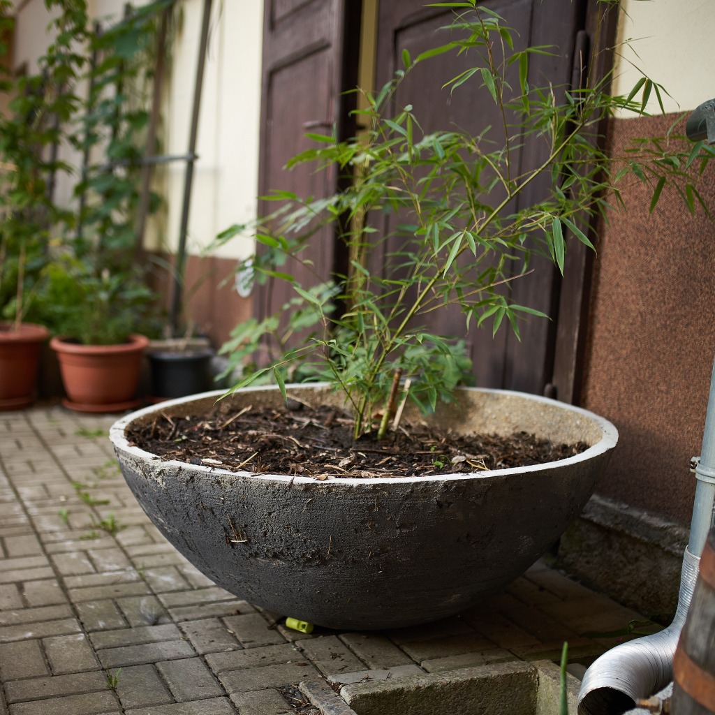 Betonový květináč Wabi-sabi